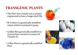TRANSGENIC PLANTS
• The Flavr Savr tomato was a tomato
engineered to have a longershelf life.
• Bt-Cotton is a genetically modified
cotton which is resistant to pests.
• Golden Ricegenetically modified to
contain beta-carotene (a sourceof
Vitamin A).
• A Blue Rose is a genetically modified
Rose.
 