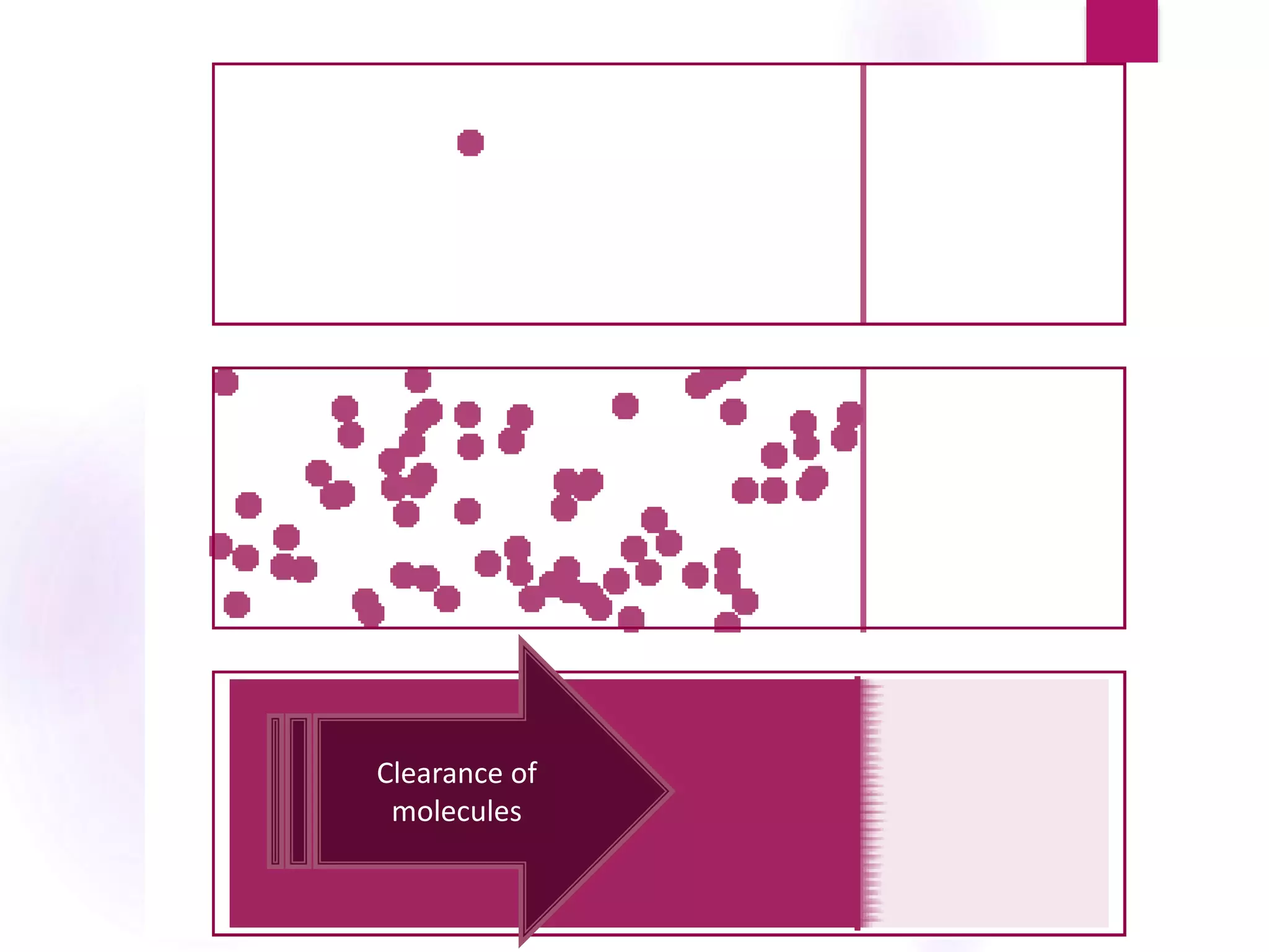 Clearance of
molecules
 