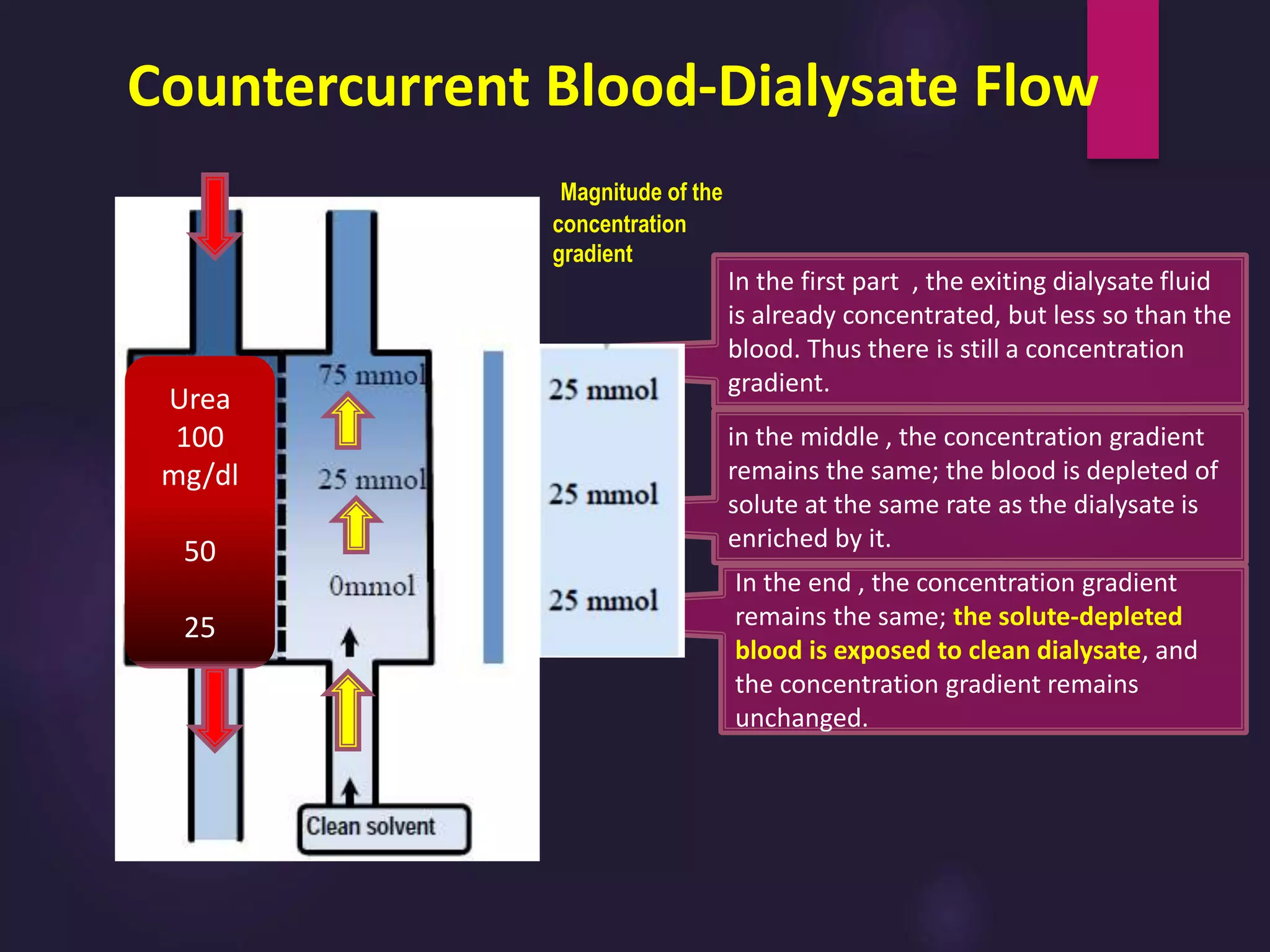 In the end , the concentration gradient
remains the same; the solute-depleted
blood is exposed to clean dialysate, and
the concentration gradient remains
unchanged.
in the middle , the concentration gradient
remains the same; the blood is depleted of
solute at the same rate as the dialysate is
enriched by it.
In the first part , the exiting dialysate fluid
is already concentrated, but less so than the
blood. Thus there is still a concentration
gradient.
Countercurrent Blood-Dialysate Flow
Magnitude of the
concentration
gradient
the
Urea
100
mg/dl
50
25
 