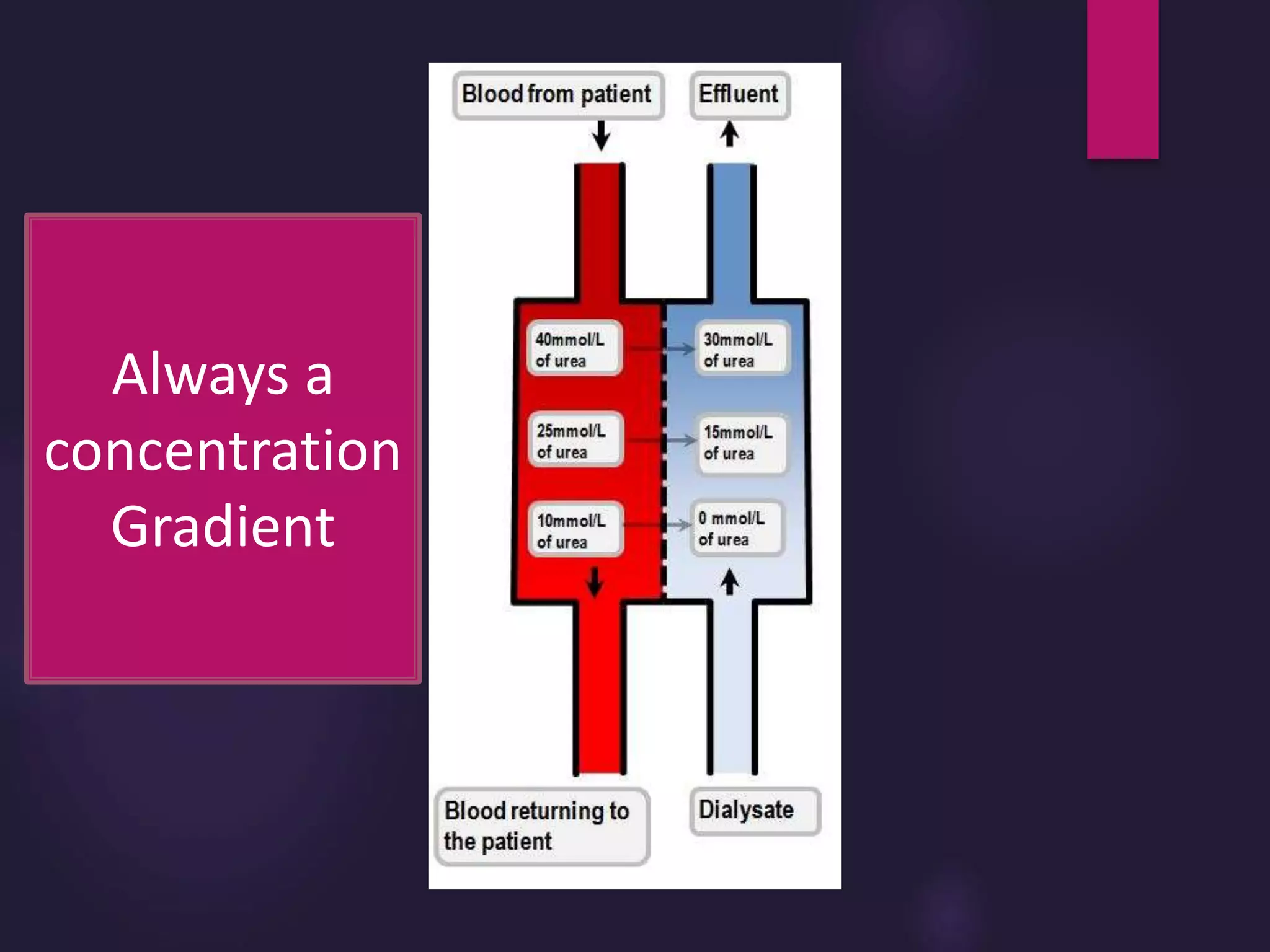 Always a
concentration
Gradient
 