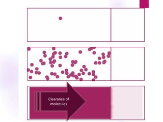 Clearance of
molecules
 