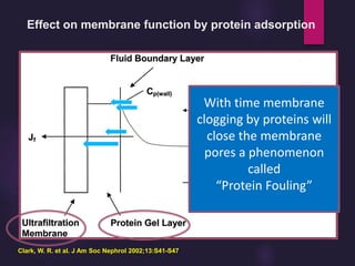 Clark, W. R. et al. J Am Soc Nephrol 2002;13:S41-S47
Effect on membrane function by protein adsorption
With time membrane
clogging by proteins will
close the membrane
pores a phenomenon
called
“Protein Fouling”
 