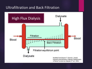 Ultrafiltration and Back Filtration
High Flux Dialysis
 