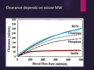 Clearance depends on solute MW
 