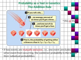 Basic Principles of Heredity: Mendelian Genetics.pptx