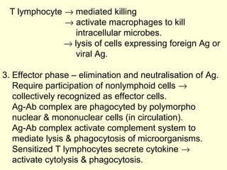 T lymphocyte → mediated killing
→ activate macrophages to kill
intracellular microbes.
→ lysis of cells expressing foreign Ag or
viral Ag.
3. Effector phase – elimination and neutralisation of Ag.
Require participation of nonlymphoid cells →
collectively recognized as effector cells.
Ag-Ab complex are phagocyted by polymorpho
nuclear & mononuclear cells (in circulation).
Ag-Ab complex activate complement system to
mediate lysis & phagocytosis of microorganisms.
Sensitized T lymphocytes secrete cytokine →
activate cytolysis & phagocytosis.
 