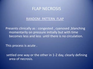FLAP NECROSIS
RANDOM PATTERN FLAP
Presents clinically as : congested , cyanosed ,blanching
momentarily on pressure initially but with time
becomes less and less until there is no circulation.
This process is acute .

settled one way or the other in 1-2 day, clearly defining
area of necrosis.

 