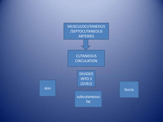 MUSCULOCUTANEOUS
/SEPTOCUTANEOUS
ARTERIES

CUTANEOUS
CIRCULATION
DIVIDED
INTO 3
LEVELS
skin

fascia

subcutaneous
fat

 