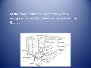 At the above said three anatomic levels 6
recognizable vascular plexus exists as shown in
figure :

 