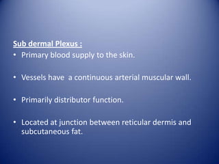 Sub dermal Plexus :
• Primary blood supply to the skin.
• Vessels have a continuous arterial muscular wall.
• Primarily distributor function.
• Located at junction between reticular dermis and
subcutaneous fat.

 