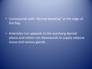 • Corresponds with “dermal bleeding” at the edge of
the flap.
• Arterioles run upwards to the overlying dermal
plexus and others run downwards to supply adipose
tissue and various glands .

 