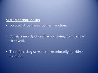 Sub epidermal Plexus
• Located at dermoepidermal junction.
• Consists mostly of capillaries having no muscle in
their wall.
• Therefore they serve to have primarily nutritive
function.

 