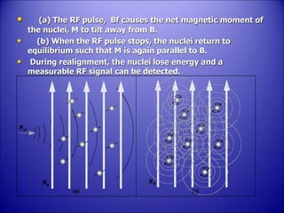 BASIC PRINCIPLES OF MRI Galala.pptx