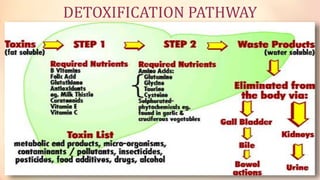 DETOXIFICATION PATHWAY
 
