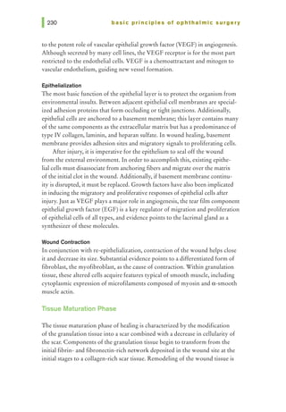 basic principles of ophthalmic surgery
to the potent role of vascular epithelial growth factor (VEGF) in angiogenesis.
Although secreted by many cell lines, the VEGF receptor is for the most part
restricted to the endothelial cells. VEGF is a chemoattractant and mitogen to
vascular endothelium, guiding new vessel formation.
Epithelialization
The most basic function of the epithelial layer is to protect the organism from
environmental insults. Between adjacent epithelial cell membranes are special-
ized adhesion proteins that form occluding or tight junctions. Additionally,
epithelial cells are anchored to a basement membrane; this layer contains many
of the same components as the extracellular matrix but has a predominance of
type IV collagen, laminin, and heparan sulfate. In wound healing, basement
membrane provides adhesion sites and migratory signals to proliferating cells.
After injury, it is imperative for the epithelium to seal off the wound
from the external environment. In order to accomplish this, existing epithe-
lial cells must disassociate from anchoring fibers and migrate over the matrix
of the initial clot in the wound. Additionally, if basement membrane continu-
ity is disrupted, it must be replaced. Growth factors have also been implicated
in inducing the migratory and proliferative responses of epithelial cells after
injury. Just as VEGF plays a major role in angiogenesis, the tear film component
epithelial growth factor (EGF) is a key regulator of migration and proliferation
of epithelial cells of all types, and evidence points to the lacrimal gland as a
synthesizer of these molecules.
Wound Contraction
In conjunction with re-epithelialization, contraction of the wound helps close
it and decrease its size. Substantial evidence points to a differentiated form of
fibroblast, the myofibroblast, as the cause of contraction. Within granulation
tissue, these altered cells acquire features typical of smooth muscle, including
cytoplasmic expression of microfilaments composed of myosin and a-smooth
muscle actin.
Tissue Maturation Phase
The tissue maturation phase of healing is characterized by the modification
of the granulation tissue into a scar combined with a decrease in cellularity of
the scar. Components of the granulation tissue begin to transform from the
initial fibrin- and fibronectin-rich network deposited in the wound site at the
initial stages to a collagen-rich scar tissue. Remodeling of the wound tissue is
 
