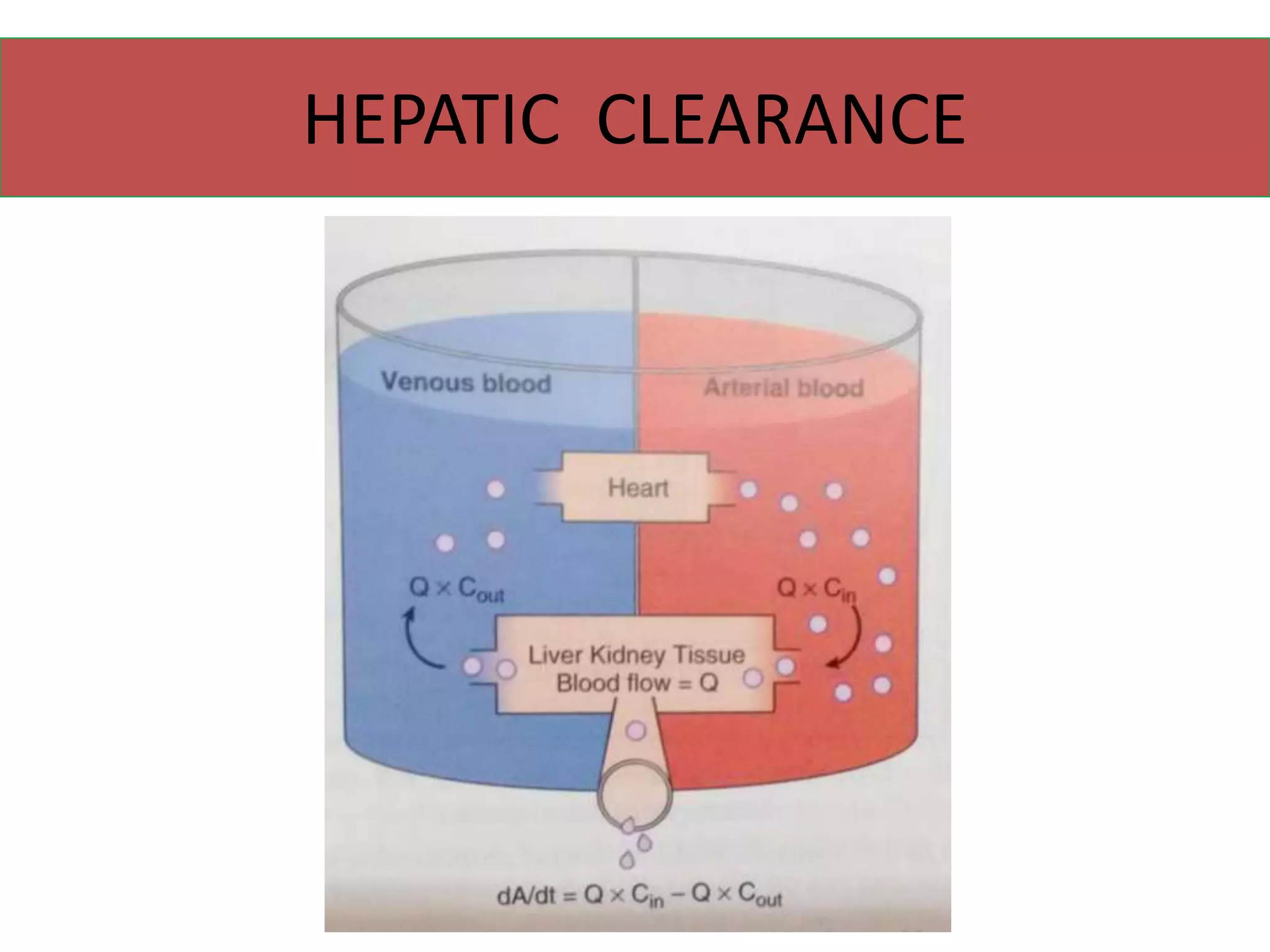 HEPATIC CLEARANCE
 