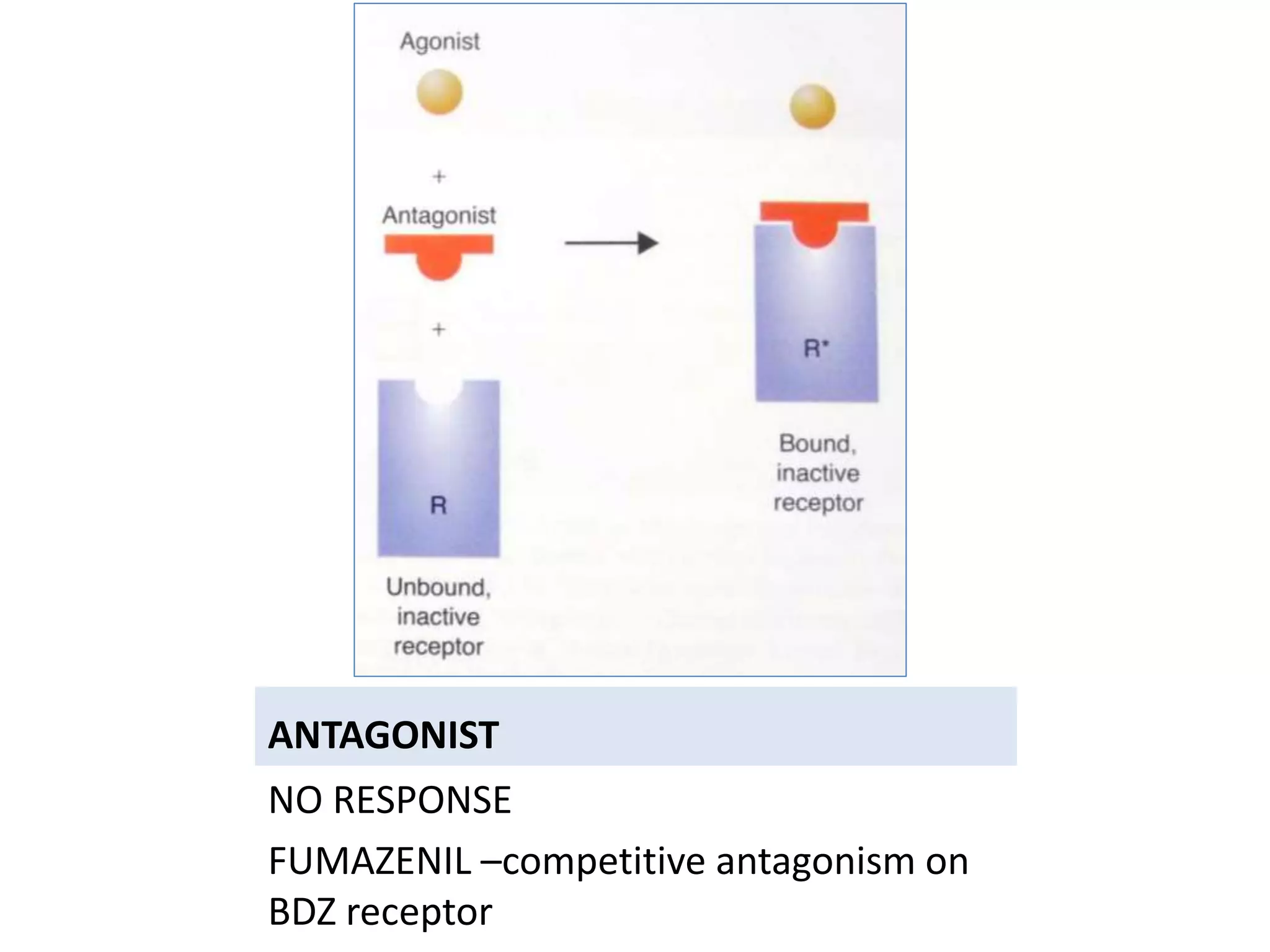 ANTAGONIST
NO RESPONSE
FUMAZENIL –competitive antagonism on
BDZ receptor
 