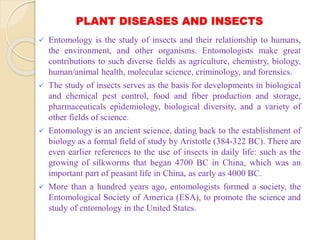 PLANT DISEASES AND INSECTS
 Entomology is the study of insects and their relationship to humans,
the environment, and other organisms. Entomologists make great
contributions to such diverse fields as agriculture, chemistry, biology,
human/animal health, molecular science, criminology, and forensics.
 The study of insects serves as the basis for developments in biological
and chemical pest control, food and fiber production and storage,
pharmaceuticals epidemiology, biological diversity, and a variety of
other fields of science.
 Entomology is an ancient science, dating back to the establishment of
biology as a formal field of study by Aristotle (384-322 BC). There are
even earlier references to the use of insects in daily life: such as the
growing of silkworms that began 4700 BC in China, which was an
important part of peasant life in China, as early as 4000 BC.
 More than a hundred years ago, entomologists formed a society, the
Entomological Society of America (ESA), to promote the science and
study of entomology in the United States.
 