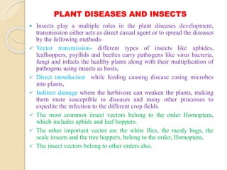 PLANT DISEASES AND INSECTS
 Insects play a multiple roles in the plant diseases development,
transmission either acts as direct casual agent or to spread the diseases
by the following methods-
 Vector transmission- different types of insects like aphides,
leafhoppers, psyllids and beetles carry pathogens like virus bacteria,
fungi and infects the healthy plants along with their multiplication of
pathogens using insects as hosts,
 Direct introduction while feeding causing disease casing microbes
into plants,
 Indirect damage where the herbivore can weaken the plants, making
them more susceptible to diseases and many other processes to
expedite the infection to the different crop fields.
 The most common insect vectors belong to the order Homoptera,
which includes aphids and leaf hoppers.
 The other important vector are the white flies, the mealy bugs, the
scale insects and the tree hoppers, belong to the order, Homoptera,
 The insect vectors belong to other orders also.
 