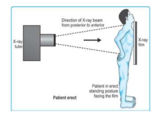 Basic principles of Radiological anatomy.pptx pptx.pptx