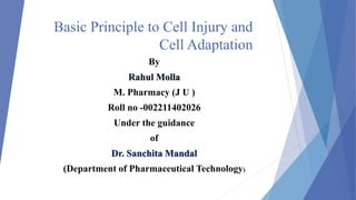 Basic Principle to Cell Injury and
Cell Adaptation
By
Rahul Molla
M. Pharmacy (J U )
Roll no -002211402026
Under the guidance
of
Dr. Sanchita Mandal
(Department of Pharmaceutical Technology)
 