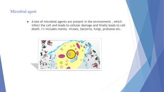 Microbial agent
 A lots of microbial agents are present in the environment , which
infect the cell and leads to cellular damage and finally leads to cell
death .I t includes mainly viruses, bacteria, fungi, protozoa etc.
 