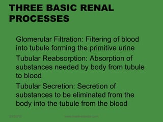 THREE BASIC RENAL
PROCESSES

    Glomerular Filtration: Filtering of blood
    into tubule forming the primitive urine
    Tubular Reabsorption: Absorption of
    substances needed by body from tubule
    to blood
    Tubular Secretion: Secretion of
    substances to be eliminated from the
    body into the tubule from the blood
03/20/13           www.freelivedoctor.com
 