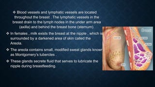  Blood vessels and lymphatic vessels are located
throughout the breast . The lymphatic vessels in the
breast drain to the lymph nodes in the under arm area
(axilla) and behind the breast bone (sternum).
 In females , milk exists the breast at the nipple , which is
surrounded by a darkened area of skin called the
Areola.
 The areola contains small, modified sweat glands known
as Montgomery’s tubercles .
 These glands secrete fluid that serves to lubricate the
nipple during breastfeeding.
 