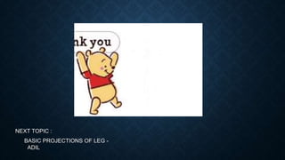 NEXT TOPIC :
BASIC PROJECTIONS OF LEG -
ADIL
 