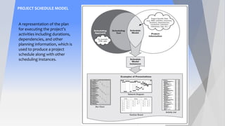What is a Project Management and how we can create a program in P6 | PDF