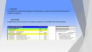 What is a Project Management and how we can create a program in P6 | PDF
