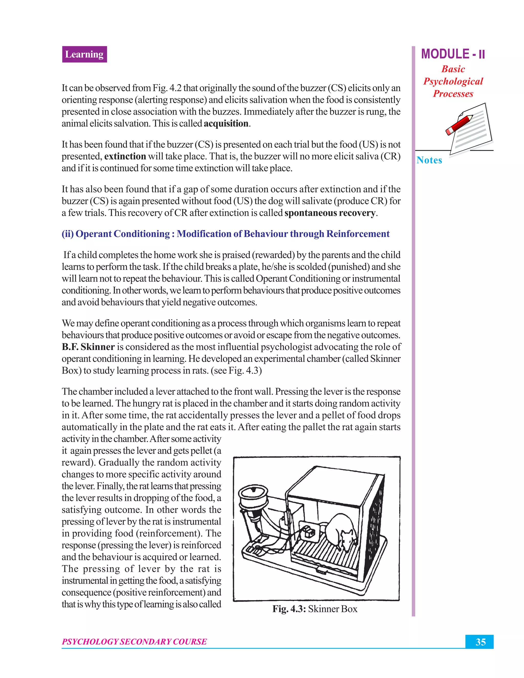 35PSYCHOLOGY SECONDARY COURSE
Learning MODULE - II
Basic
Psychological
Processes
Notes
ItcanbeobservedfromFig.4.2thatoriginallythesoundofthebuzzer(CS)elicitsonlyan
orientingresponse(alertingresponse)andelicitssalivationwhenthefoodisconsistently
presented in close association with the buzzes. Immediately after the buzzer is rung, the
animalelicitssalvation.Thisiscalledacquisition.
Ithasbeenfoundthatifthebuzzer(CS)ispresentedoneachtrialbutthefood(US)isnot
presented, extinction will take place. That is, the buzzer will no more elicit saliva (CR)
andifitiscontinuedforsometimeextinctionwilltakeplace.
It has also been found that if a gap of some duration occurs after extinction and if the
buzzer (CS) is again presented without food (US) the dog will salivate (produce CR) for
a few trials.This recovery of CR after extinction is called spontaneous recovery.
(ii) Operant Conditioning : Modification of Behaviour through Reinforcement
Ifachildcompletesthehomeworksheispraised(rewarded)bytheparentsandthechild
learnstoperformthetask.Ifthechildbreaksaplate,he/sheisscolded(punished)andshe
willlearnnottorepeatthebehaviour.ThisiscalledOperantConditioningorinstrumental
conditioning.Inotherwords,welearntoperformbehavioursthatproducepositiveoutcomes
andavoidbehavioursthatyieldnegativeoutcomes.
Wemaydefineoperantconditioningasaprocessthroughwhichorganismslearntorepeat
behavioursthatproducepositiveoutcomesoravoidorescapefromthenegativeoutcomes.
B.F. Skinner is considered as the most influential psychologist advocating the role of
operantconditioninginlearning.Hedevelopedanexperimentalchamber(calledSkinner
Box) to study learning process in rats. (see Fig. 4.3)
Thechamberincludedaleverattachedtothefrontwall.Pressingtheleveristheresponse
to be learned. The hungry rat is placed in the chamber and it starts doing random activity
in it.After some time, the rat accidentally presses the lever and a pellet of food drops
automatically in the plate and the rat eats it.After eating the pallet the rat again starts
activityinthechamber.Aftersomeactivity
it againpressestheleverandgetspellet(a
reward). Gradually the random activity
changes to more specific activity around
thelever.Finally,theratlearnsthatpressing
the lever results in dropping of the food, a
satisfying outcome. In other words the
pressingofleverbytheratisinstrumental
in providing food (reinforcement). The
response(pressingthelever)isreinforced
and the behaviour is acquired or learned.
The pressing of lever by the rat is
instrumentalingettingthefood,asatisfying
consequence(positivereinforcement)and
thatiswhythistypeoflearningisalsocalled Fig. 4.3: Skinner Box
 