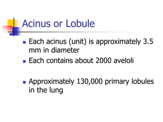 Basic Pulmonary anatomy, Physiology of respiratory system | PPTX