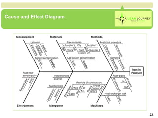 Cause and Effect Diagram 
