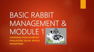 BASIC RABBIT
MANAGEMENT &
MODULE 1
MORNING STAR RABBITRY
POBLACION, BILAR, BOHOL
PHILIPPINES
 