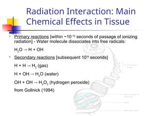 Basic Radiation theories and discussions | PPT