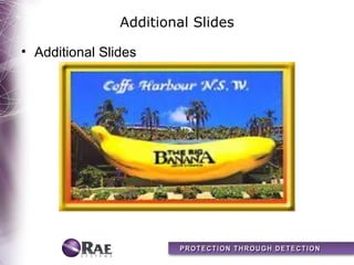 Additional Slides

• Additional Slides
 