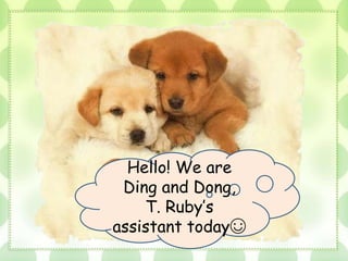Hello! We are
Ding and Dong,
T. Ruby’s
assistant today☺
 