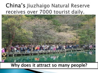 China’sJiuzhaigo Natural Reserve receives over 7000 tourist daily.Why does it attract so many people?