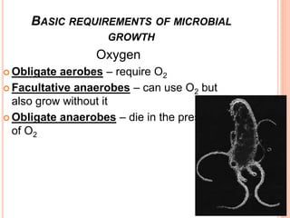 Oxygen
 Obligate aerobes – require O2
 Facultative anaerobes – can use O2 but
also grow without it
 Obligate anaerobes – die in the presence
of O2
BASIC REQUIREMENTS OF MICROBIAL
GROWTH
 