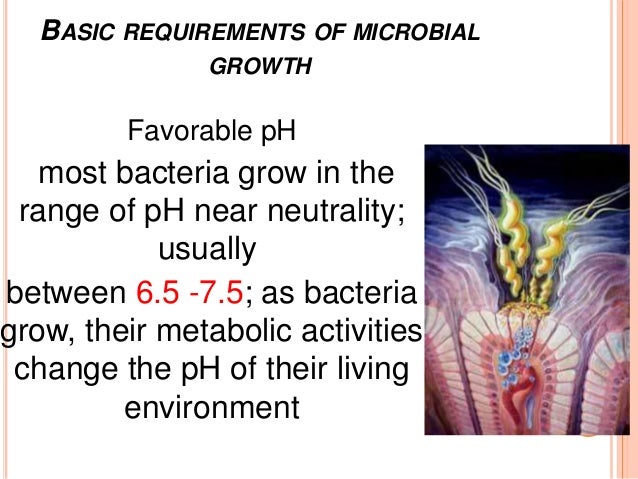 Basic requirements of microbial growth