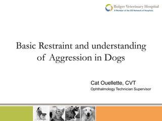 Basic Restraint and understanding
of Aggression in Dogs
Cat Ouellette, CVT
Ophthalmology Technician Supervisor

 