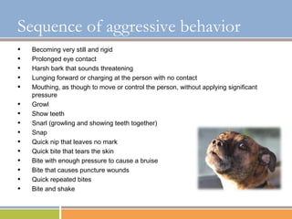 Basic Restraint and Understanding of Aggression in Dogs | PPT
