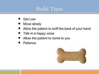 Basic Restraint and Understanding of Aggression in Dogs | PPT