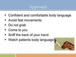 Basic Restraint and Understanding of Aggression in Dogs | PPT | First ...