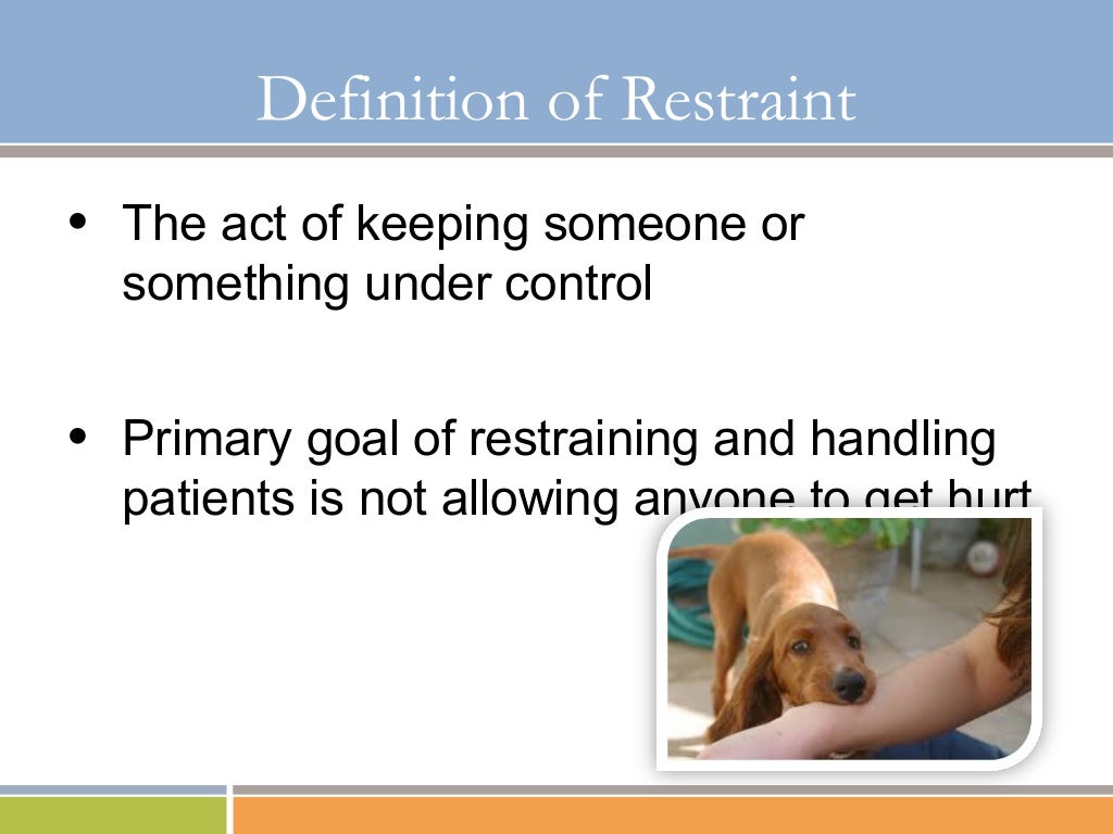 Basic Restraint and Understanding of Aggression in Dogs
