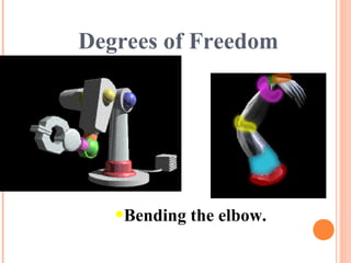 Degrees of Freedom
•Bending the elbow.
 