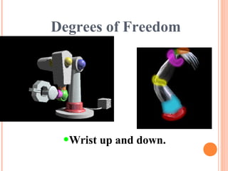 Degrees of Freedom
•Wrist up and down.
 