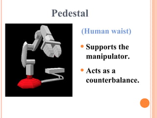 Pedestal
(Human waist)
•Supports the
manipulator.
•Acts as a
counterbalance.
 