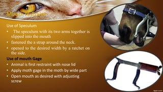 Mouth restraint
Use of Speculum
• The speculum with its two arms together is
slipped into the mouth
• fastened the a strap around the neck.
• opened to the desired width by a ratchet on
the side.
Use of mouth Gage
• Animal is first restraint with nose lid
• Apply moth gage in the moth by wide part
• Open mouth as desired with adjusting
screw
 